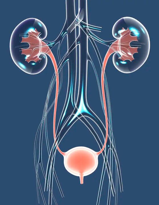 Ilustracja zdrowego męskiego zdrowia